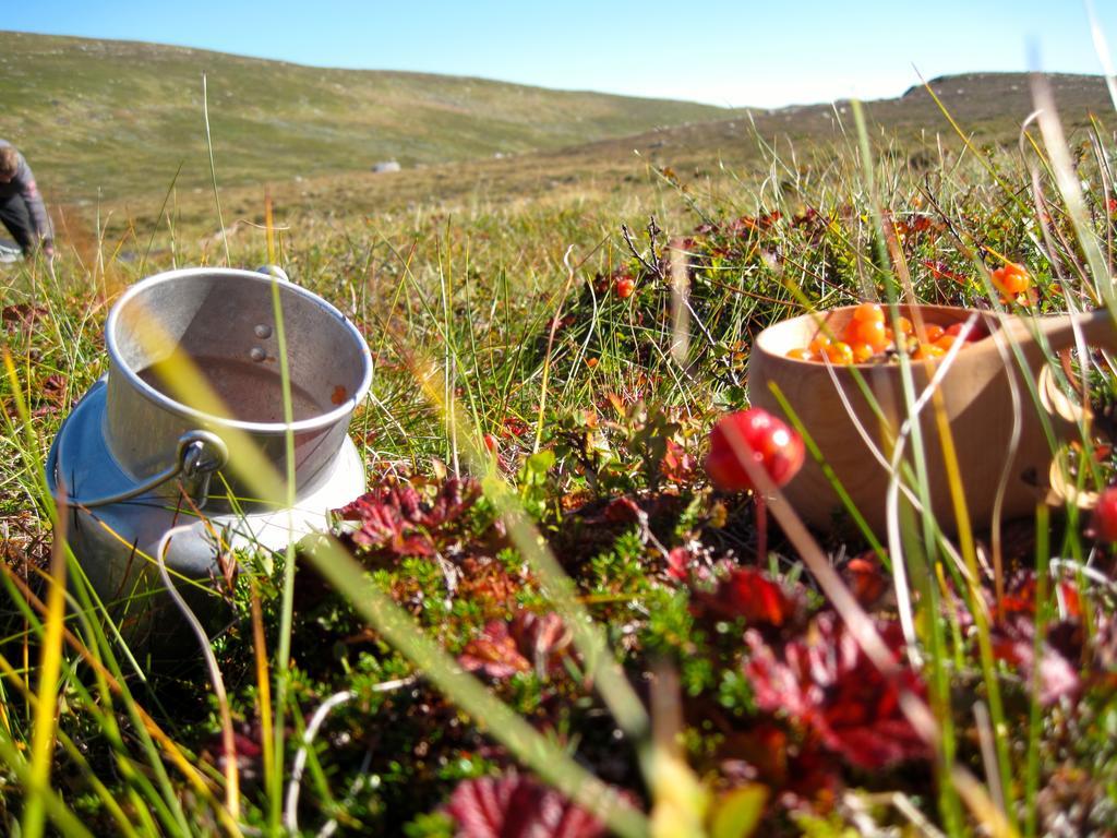 Norefjell - Storhytte Med Jacuzzi Og Fantastisk Beliggenhet Noresund Extérieur photo